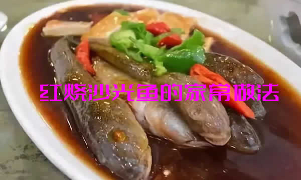 肉質細嫩味道鮮美骨刺少的紅燒沙光魚的家常做法